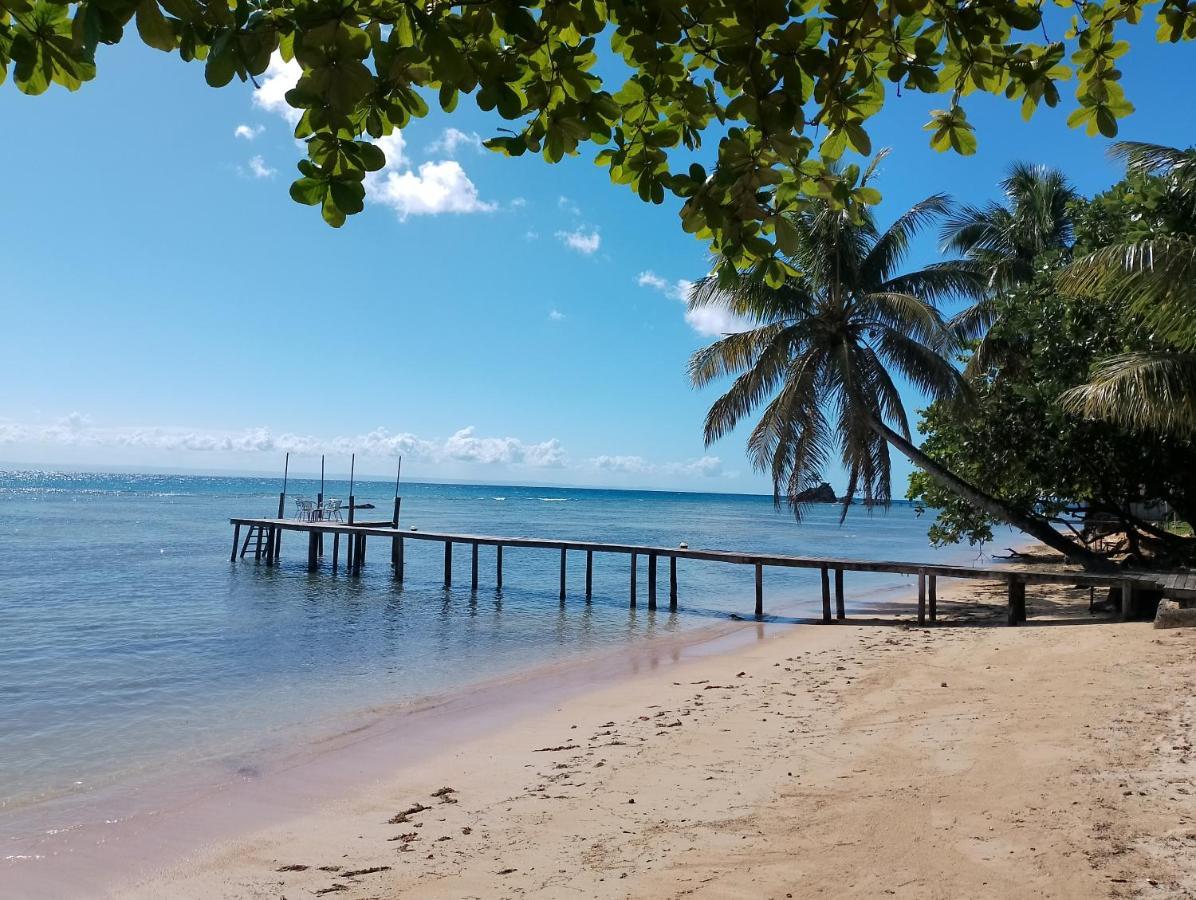 サント・マリー島 Chez Nath Bed & Breakfast エクステリア 写真